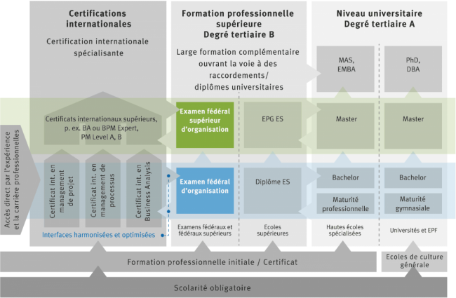 Position des examens d’organisateur dans le paysage de la formation